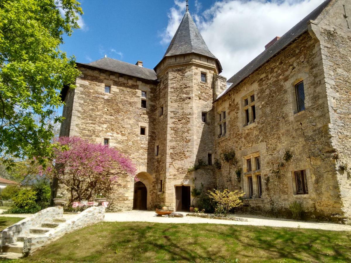 Chateau De Chanze Faye-d'Anjou Exterior photo